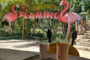 Medellín: Nápolesin Hacienda-safaripassi