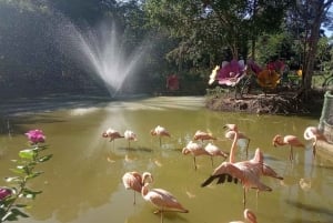 Medellín: Nápolesin Hacienda-safaripassi