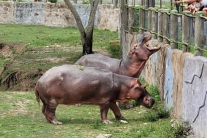 Medellín: Nápolesin Hacienda-safaripassi