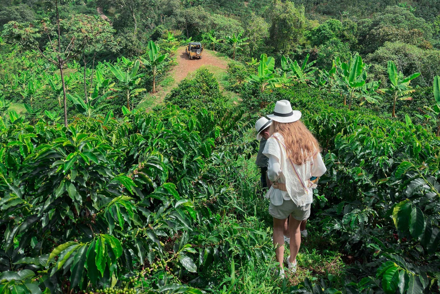 MEDELLÍN: PUOLEN PÄIVÄN KAHVIKIERROS PAIKALLISELLA PERHETILALLA
