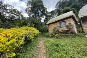 MEDELLÍN: PUOLEN PÄIVÄN KAHVIKIERROS PAIKALLISELLA PERHETILALLA