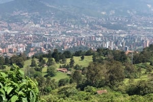 Medellín : demi-journée de visite privée des villes coloniales