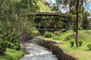 Medellín : demi-journée de visite privée des villes coloniales