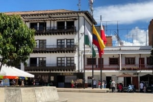 Medellín : demi-journée de visite privée des villes coloniales