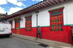 Medellín : demi-journée de visite privée des villes coloniales