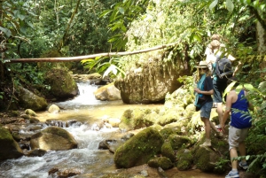 Medellin: Half–Day Private Nature Tour & Waterfall Hike