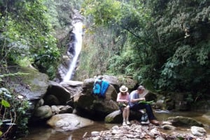 Medellín: tour privado agreste y caminata a la cascada
