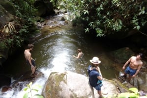 Medellín: tour privado agreste y caminata a la cascada