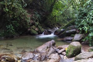 Medellin: Half–Day Private Nature Tour & Waterfall Hike