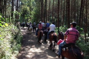 From Medellin: Guided Horseback Riding Tour in Nature