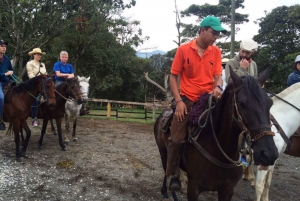 From Medellin: Guided Horseback Riding Tour in Nature