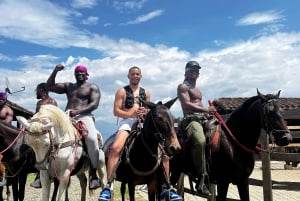 Medellin: Horseback riding, animal show and skyline view