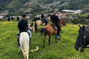 Medellin: Horseback riding, animal show and skyline view