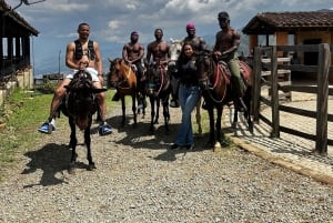 Medellin: Horseback riding, animal show and skyline view