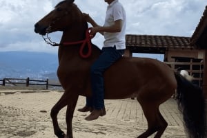 Medellin: Horseback riding, animal show and skyline view