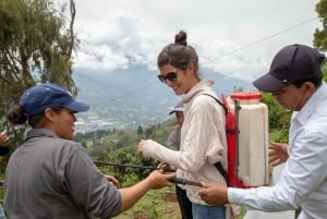 Medellín: Excursión a caballo por una finca cafetera con spa de café