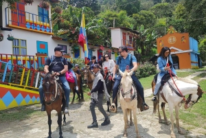 Medellin: Tour della fattoria del caffè a cavallo con Spa del caffè