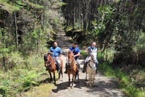 Medellin: Reiten auf einer Kaffeefarm Tour mit Kaffee Spa