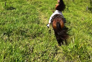 Medellín: jazda konna, glamping i pobyt w finca z widokiem 360°