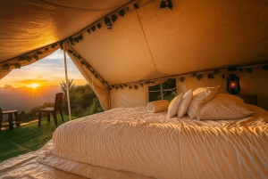 Medellín: jazda konna, glamping i pobyt w finca z widokiem 360°