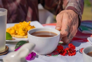 Medellín: jazda konna, glamping i pobyt w finca z widokiem 360°