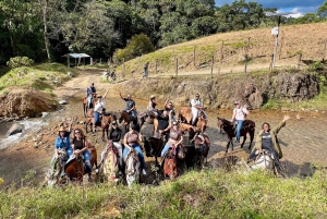 Medellín: Paseo a Caballo por las Montañas de la ciudad.
