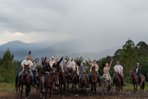 Medellín: Horseback riding in the city's mountains.
