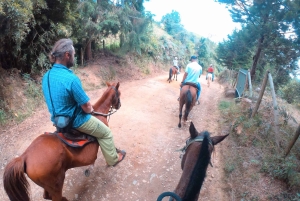 Medellin: Ridning i Medellin-fjellene