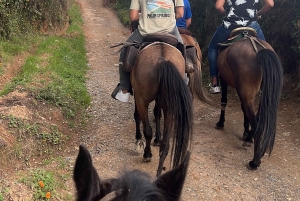 Medellin: Ridning i Medellin-fjellene