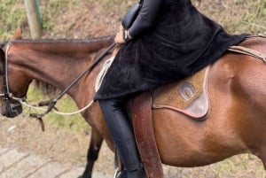 メデジン：山々の間を馬で駆け抜ける体験をお楽しみください