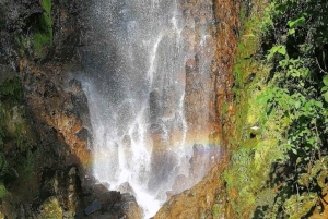 МЕДЕЛЬИН: ЭКСКУРСИЯ ПО САДУ + АНДЫ (ПАНОРАМНЫЙ ВИД) + ФЕРМА ПО ВЫРАЩИВАНИЮ ФОРЕЛИ