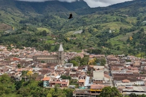 МЕДЕЛЬИН: ЭКСКУРСИЯ ПО САДУ + АНДЫ (ПАНОРАМНЫЙ ВИД) + ФЕРМА ПО ВЫРАЩИВАНИЮ ФОРЕЛИ