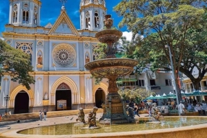 МЕДЕЛЬИН: ЭКСКУРСИЯ ПО САДУ + АНДЫ (ПАНОРАМНЫЙ ВИД) + ФЕРМА ПО ВЫРАЩИВАНИЮ ФОРЕЛИ