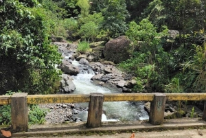 МЕДЕЛЬИН: ЭКСКУРСИЯ ПО САДУ + АНДЫ (ПАНОРАМНЫЙ ВИД) + ФЕРМА ПО ВЫРАЩИВАНИЮ ФОРЕЛИ