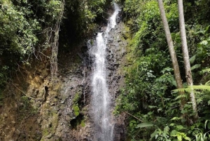 МЕДЕЛЬИН: ЭКСКУРСИЯ ПО САДУ + АНДЫ (ПАНОРАМНЫЙ ВИД) + ФЕРМА ПО ВЫРАЩИВАНИЮ ФОРЕЛИ
