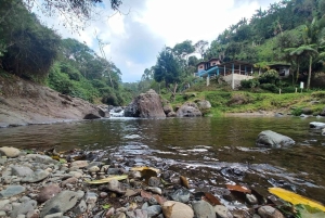 МЕДЕЛЬИН: ЭКСКУРСИЯ ПО САДУ + АНДЫ (ПАНОРАМНЫЙ ВИД) + ФЕРМА ПО ВЫРАЩИВАНИЮ ФОРЕЛИ