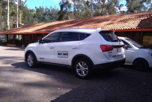 Medellín: José María Córdova Airport Private Transfer