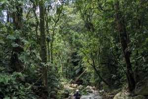 Medellín: Vaellus pyhälle vesiputoukselle ja kahvi