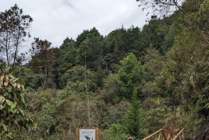 Medellín: Vaellus pyhälle vesiputoukselle ja kahvi