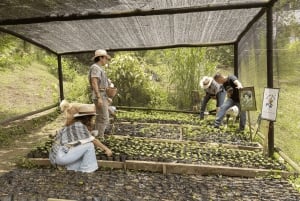 Medellin: La Casa Grande Coffee Hacienda – kaffeopplevelse