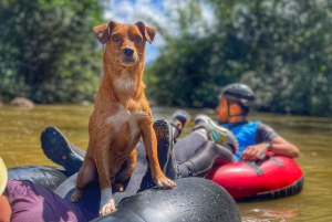 Medellín: Magisk tubing på Arenal-elven i San Rafael