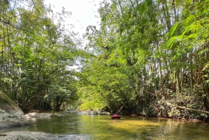 Medellín: Magisk tubing på Arenal-elven i San Rafael