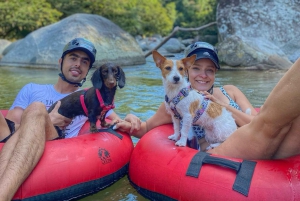 Medellín: Magisk tubing på Arenal-elven i San Rafael