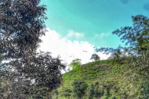 Medellín: Magisk tubing på Arenal-elven i San Rafael