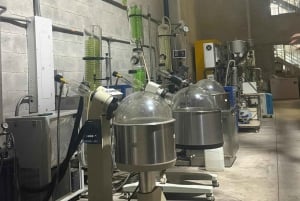 Medellín: tour dell'industria della cannabis medica con laboratorio e pranzo