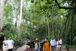 Medellín: Enemmän kuin Escobar -kävelykierros