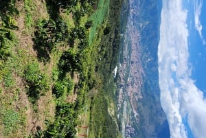 Medellín: Tour en bicicleta de montaña por una finca cafetera y experiencia en un spa