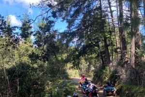 Medellin: Off-road eventyr i ATV, Quad - Adrenalin