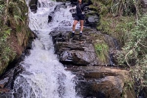 Medellin: Off-road eventyr i ATV, Quad - Adrenalin