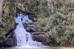 Medellin: ATV Tour. Off-Road Adventure and Waterfall.